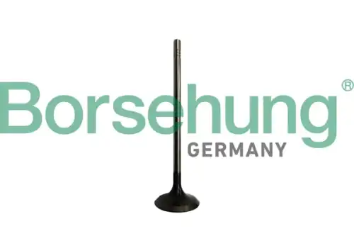 b10328 borsehung