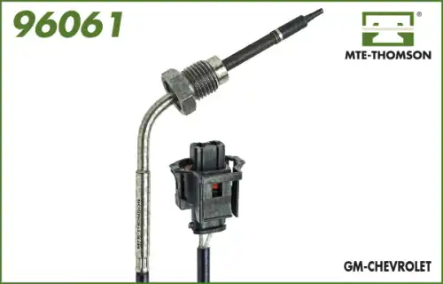 96061 mtethomson