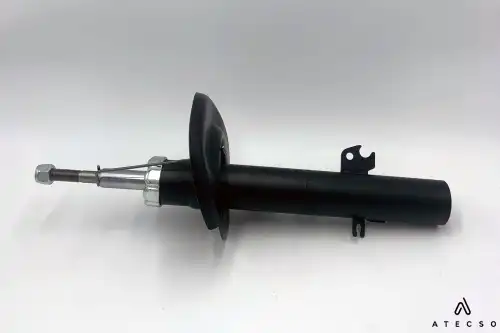 amt00298 atecso