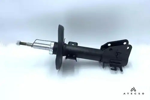 amt00301 atecso