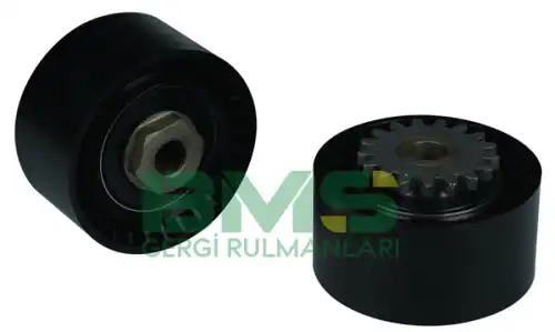 bms308 bms