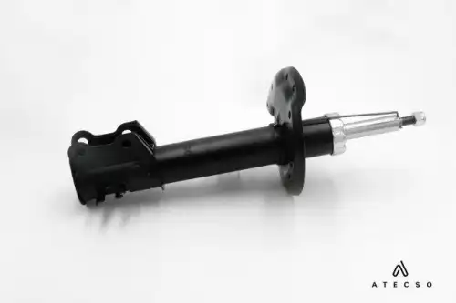 amt00195 atecso