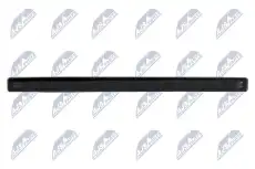 elpau009 nty