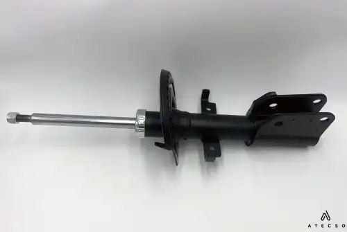 amt00300 atecso