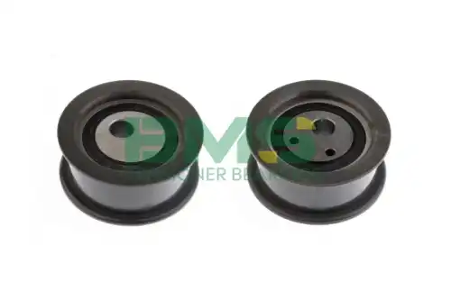 bms494 bms