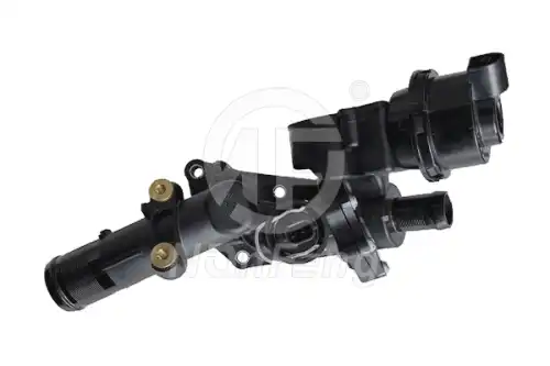 nf0819 nanfeng
