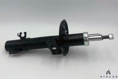 amt00305 atecso