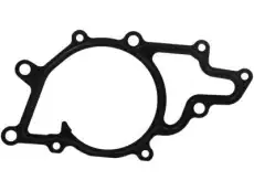 Gasket, water pump 5080144AA DODGE