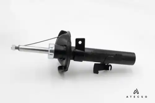 amt00217 atecso