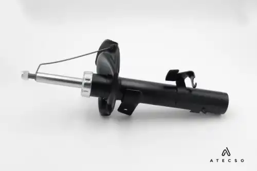 amt00218 atecso