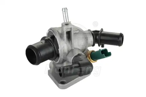 nf0295 nanfeng