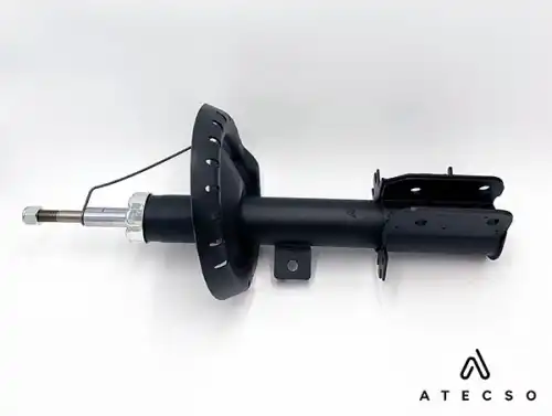 AMT00256 ATECSO
