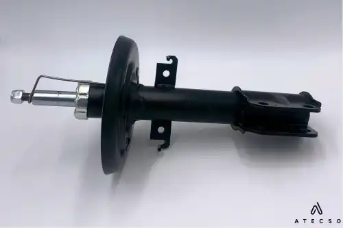 AMT00302 ATECSO