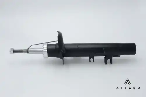 AMT00119 ATECSO
