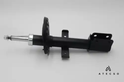 AMT00148 ATECSO