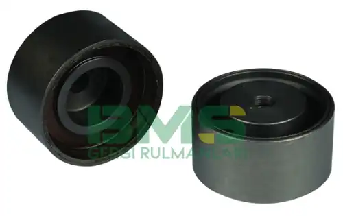 BMS 219 BMS