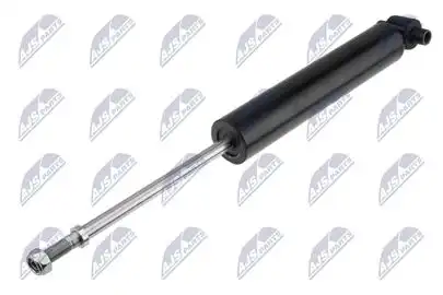 A-CT-057 Амортизатор подвески NTY