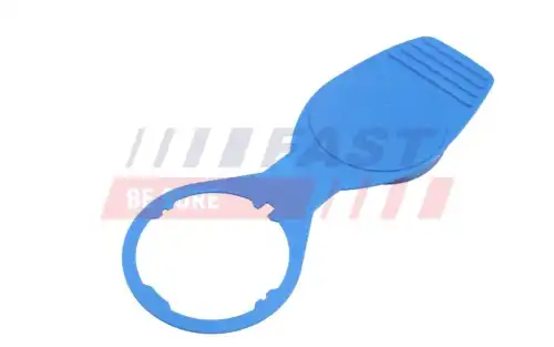 FT00218 FAST