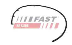 FT00253 FAST