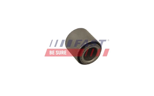 FT10076 FAST