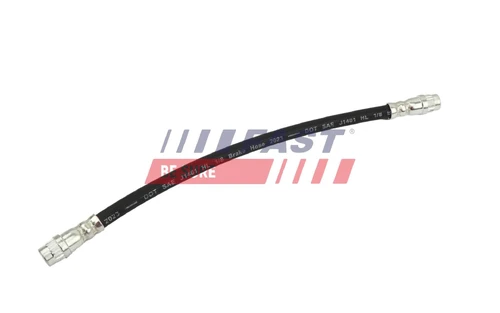 FT10096 FAST