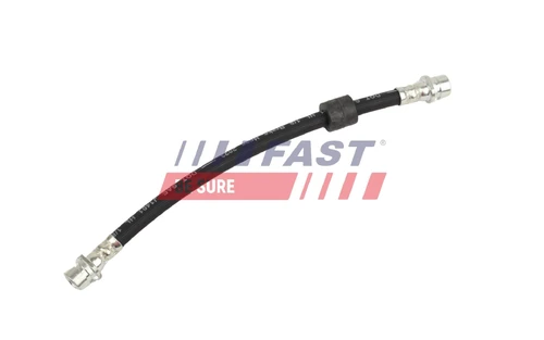 FT10097 FAST