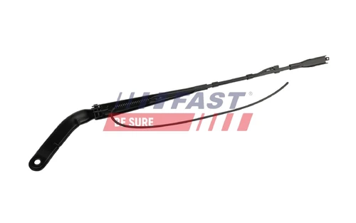 FT10171 FAST