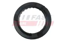 FT12037 FAST