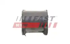 FT18495 FAST