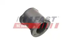FT18495 FAST
