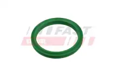 FT49936 FAST