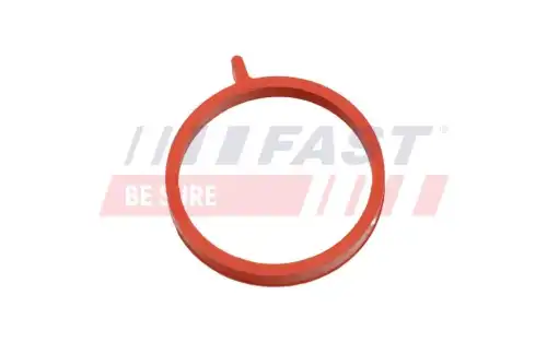 FT48964 FAST