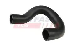 FT61894 FAST