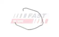 FT96412 FAST