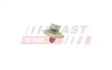 FT96608 FAST