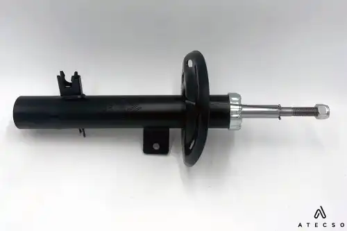 AMT00284 ATECSO
