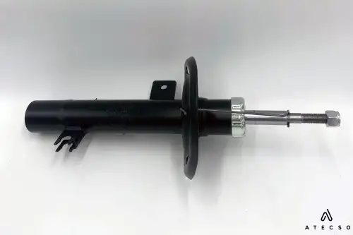 AMT00285 ATECSO