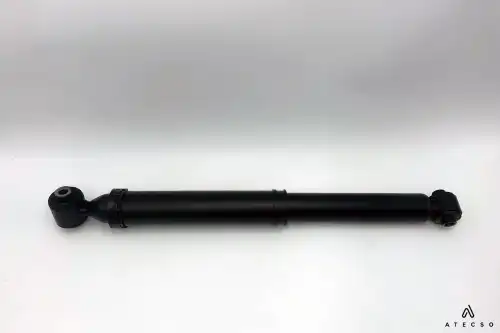 AMT00312 ATECSO