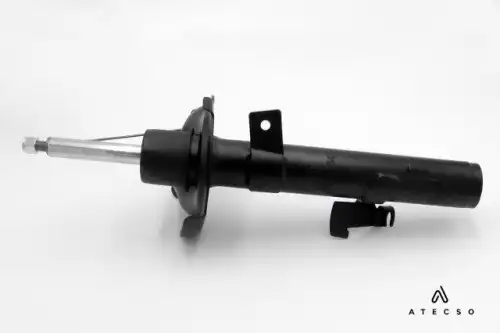 AMT00208 ATECSO