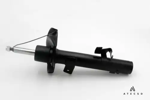 AMT00209 ATECSO