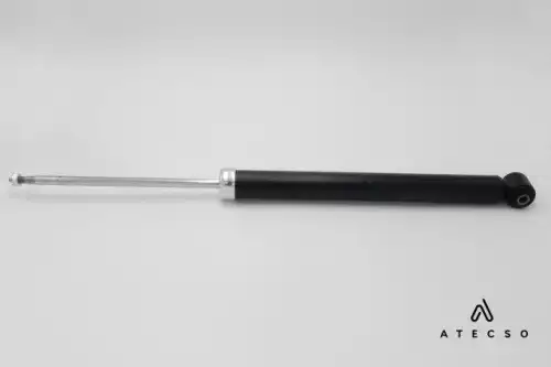 AMT00135 ATECSO