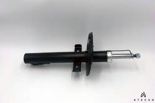 AMT00275 ATECSO