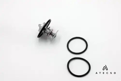 TRM00164 ATECSO