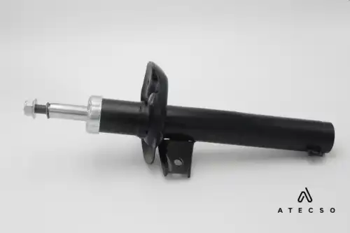 AMT00162 ATECSO