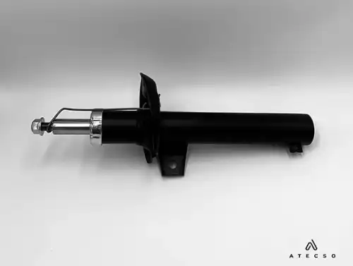 AMT00307 ATECSO