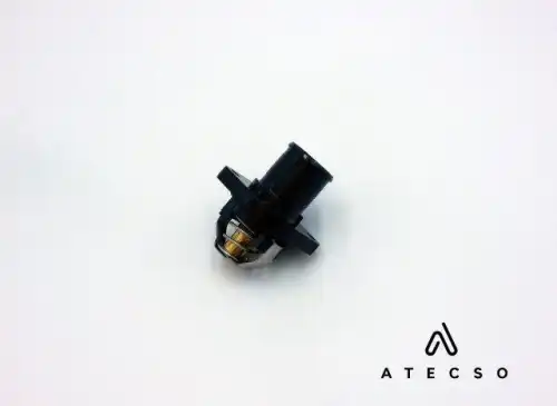 TRM00111 ATECSO
