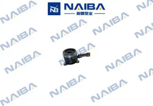 CSC042A CALIPERE+ NAIBA