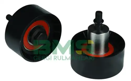 BMS 229 BMS