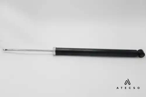 AMT00158 ATECSO