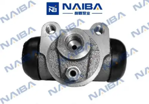R041 CALIPERE+ NAIBA